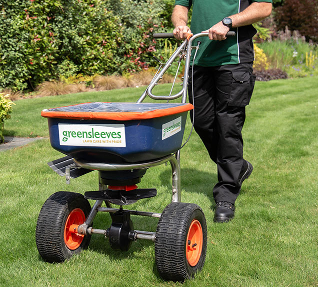Greensleeves lawn specialists using a gardening machine to spread lawn fertilizer