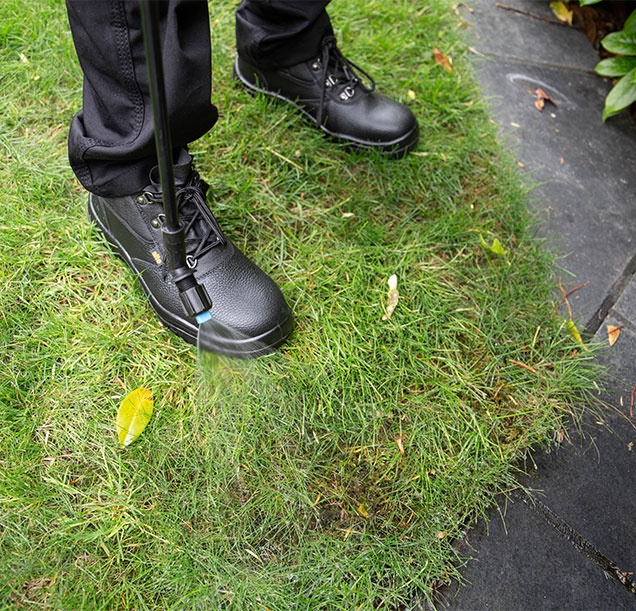 moss treatment being applied to a lawn