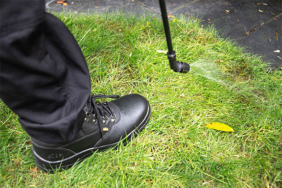 moss spray treatment being applied to a lawn