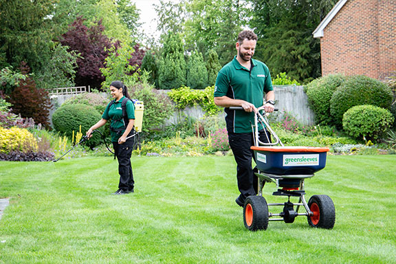 Two Greensleeves lawn specialists spreading grass fertilizer and spraying lawn treatment