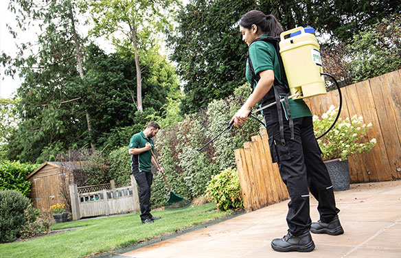 Two Greensleeves representatives raking and weed spraying a lawn