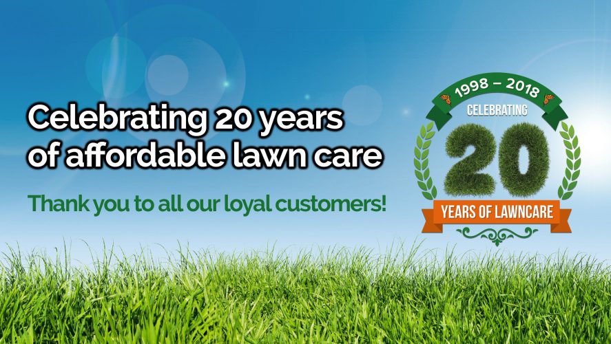 The Essential Lawn Care Guide For Homeowners