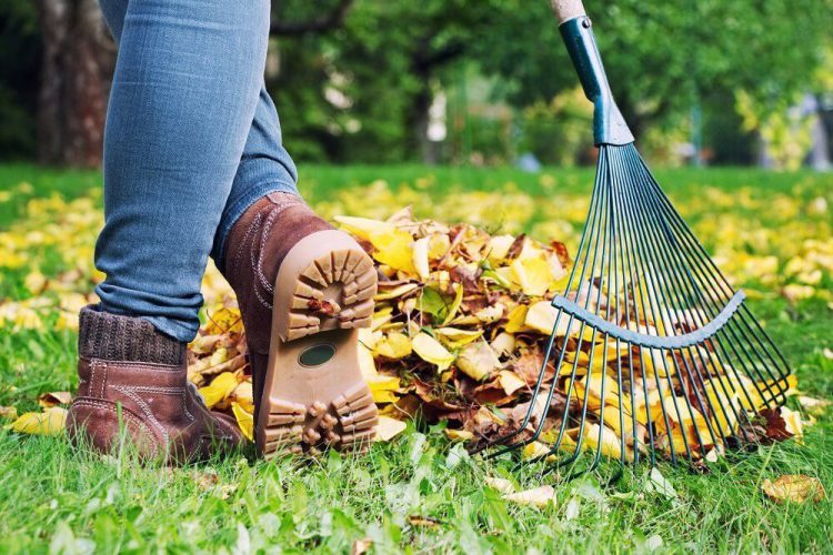 November Gardening Jobs