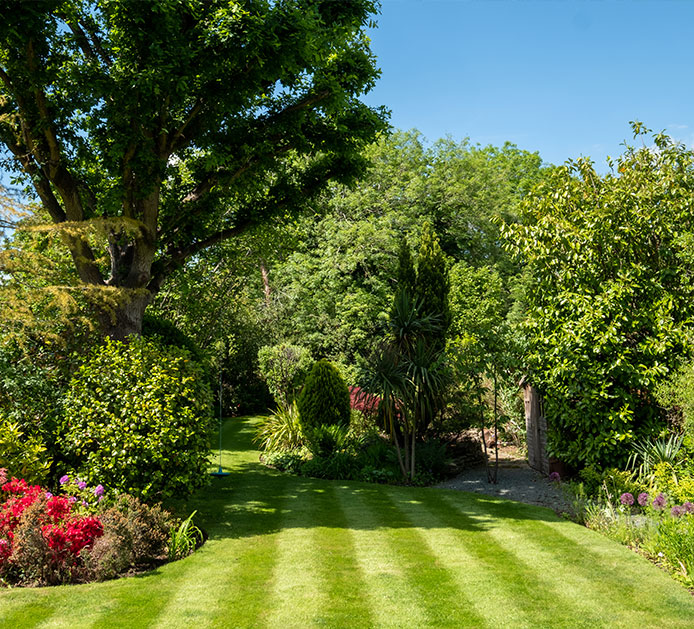 green lawn with striping pattern in garden