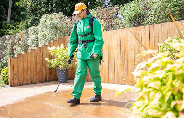 Greensleeves professional spraying garden patio with insecticide