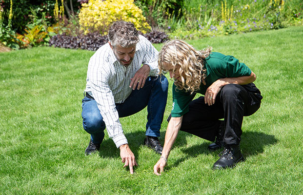 Greensleeves lawn specialist inspecting lawn with a client