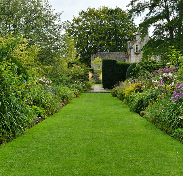 green and healthy lawn in garden with flower beds either side