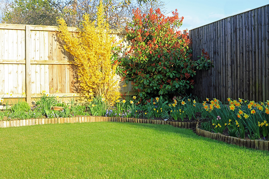 perfect looking grass lawn with flower bed and fence behind