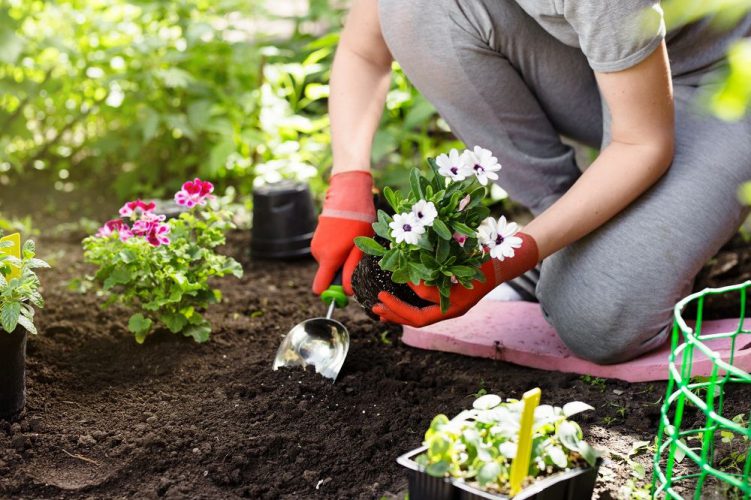 Preparing Your Garden For A Successful Spring