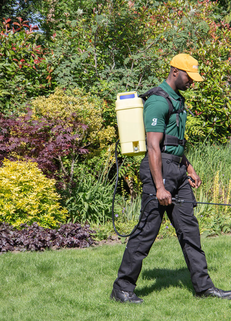 weed control spray on lawn