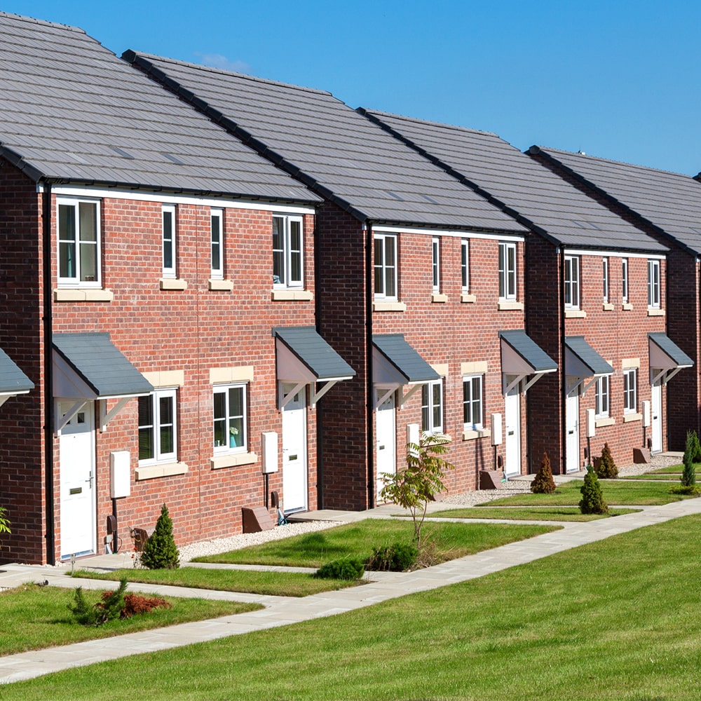 essential lawn care package