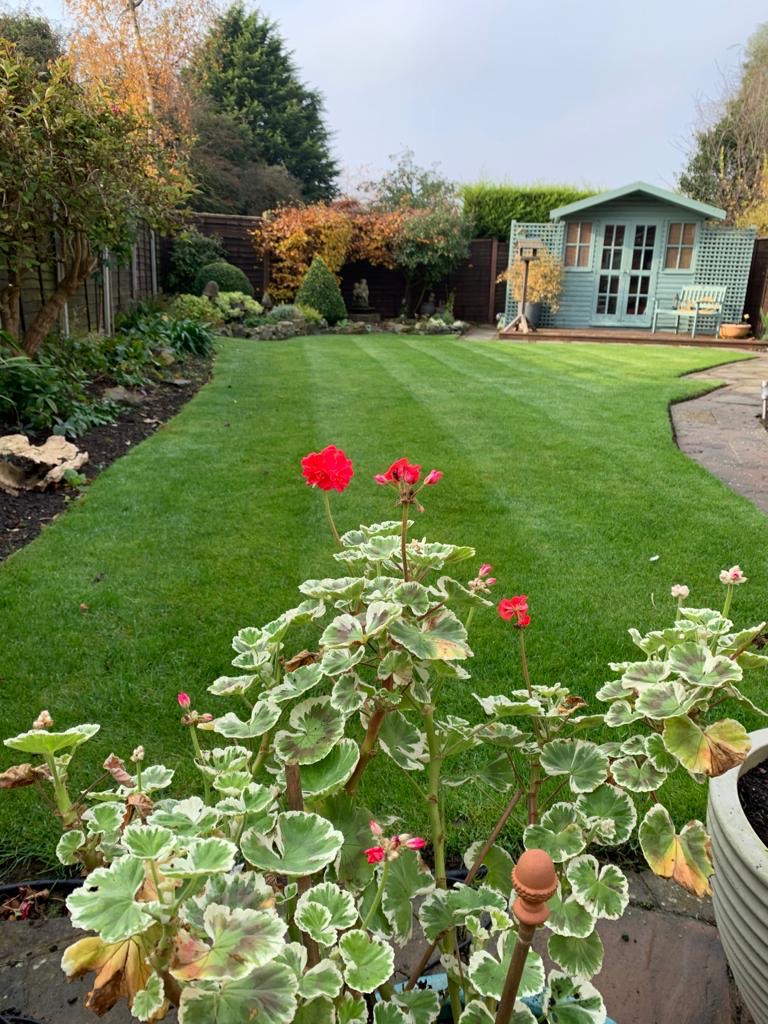 Lawn care through the seasons