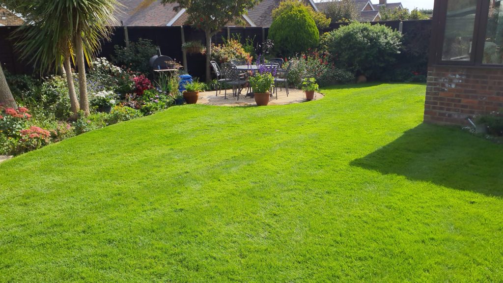 green lawn in garden