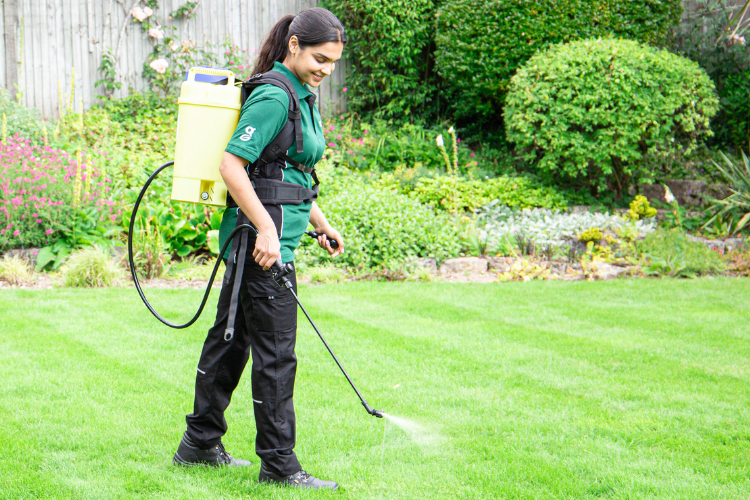 Greensleeves aqua boost treatment, which helps target dry patches on your lawn.