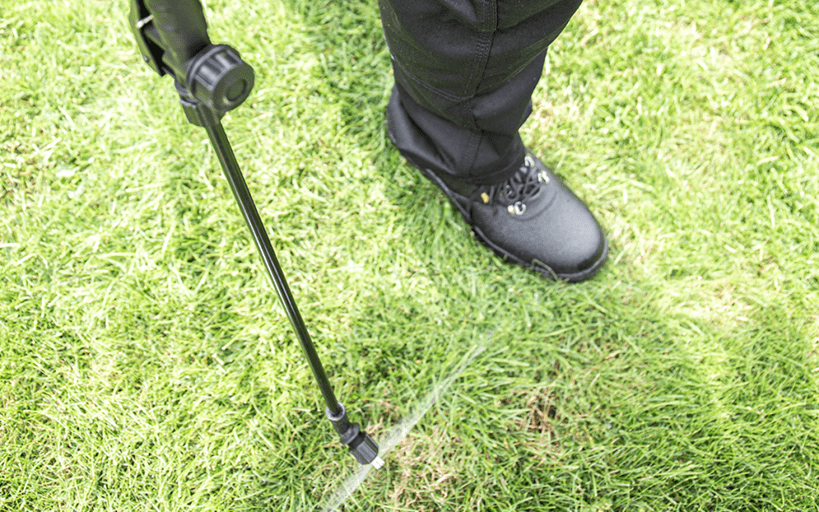 slow grow grass treatment