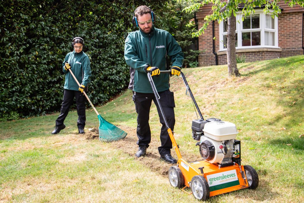 lawn scarifying