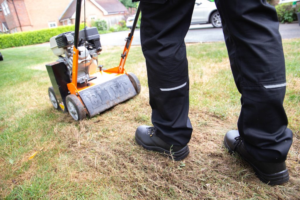 scarifying lawn
