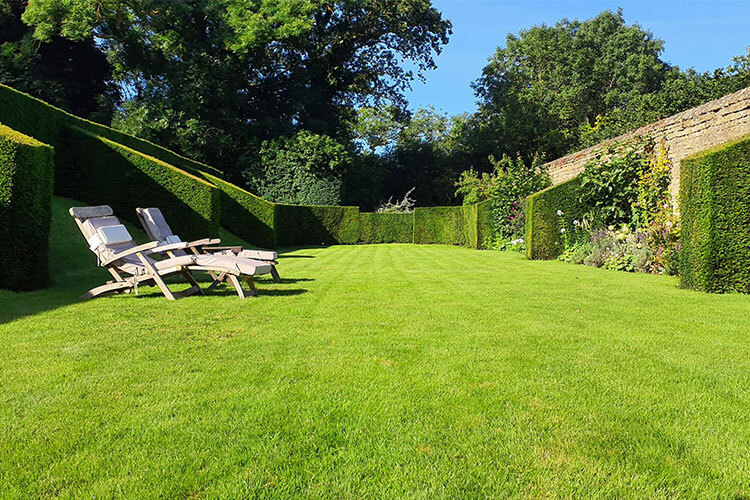 A vibrant green lawn and two longers, surrounded by well managed angular hedges.
